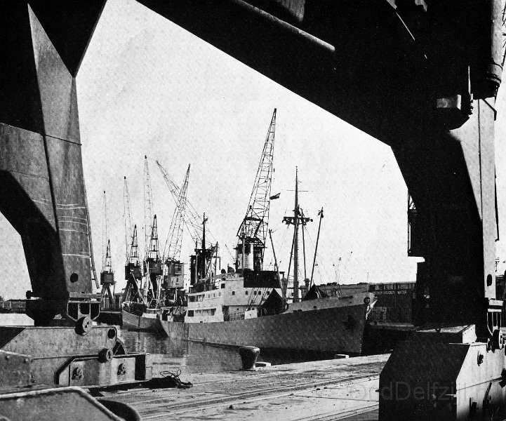 Schepen en kranen in de haven 2.jpg